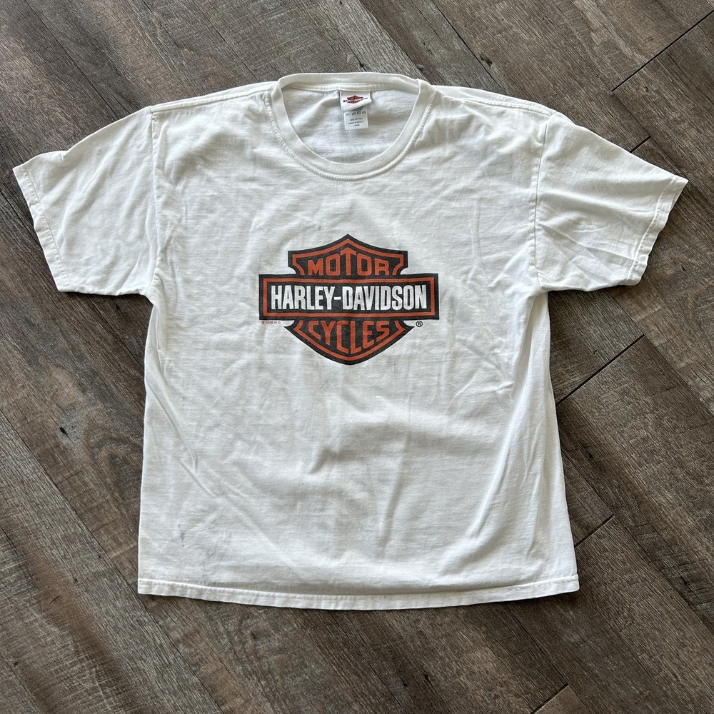 Y2K Vintage Harley Davidson White T Shirt Men Large Big Logo Biker Ohio Flames